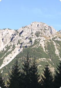 cima monte arvenis