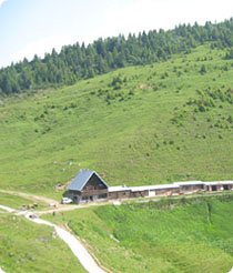 malga claupa